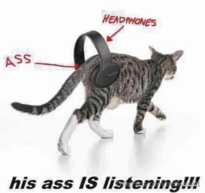 More ass content coming soon