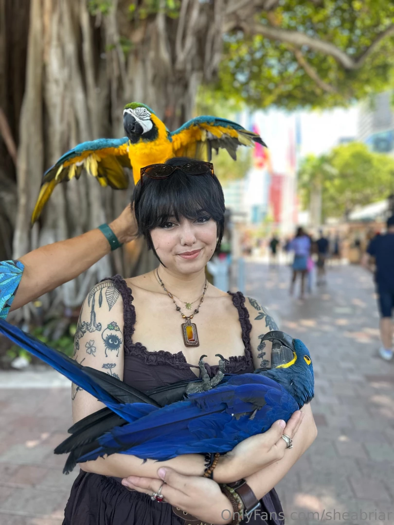 Polly wants a finish the sentence 