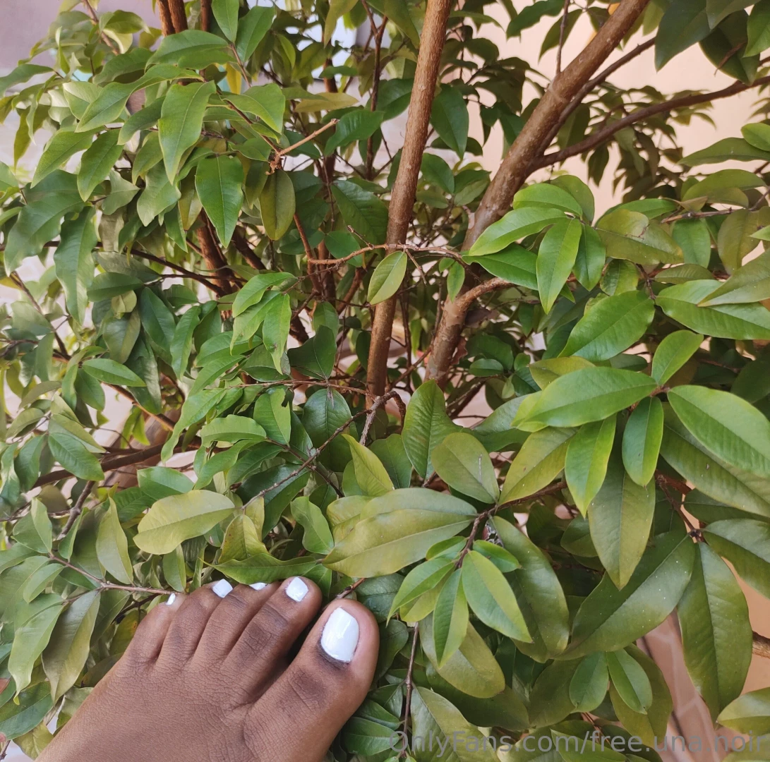 Are you into feet https onlyfans com una noir 