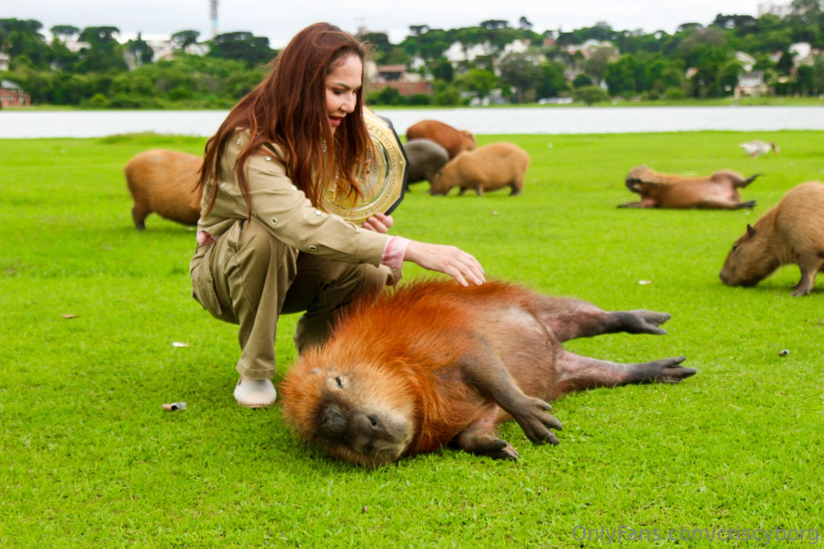 Do you know the name of this animal they are very famous in my city of 