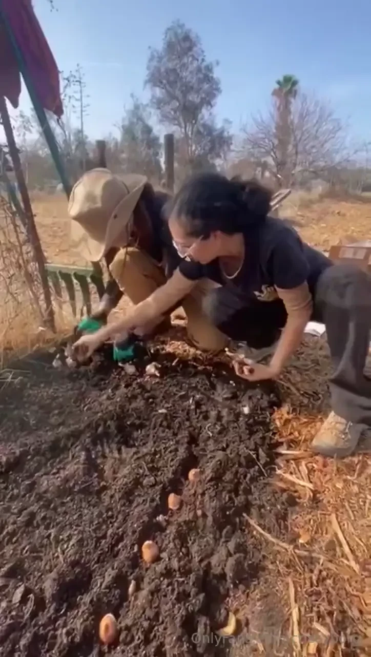 Putting flowers in the garden to attract bees 