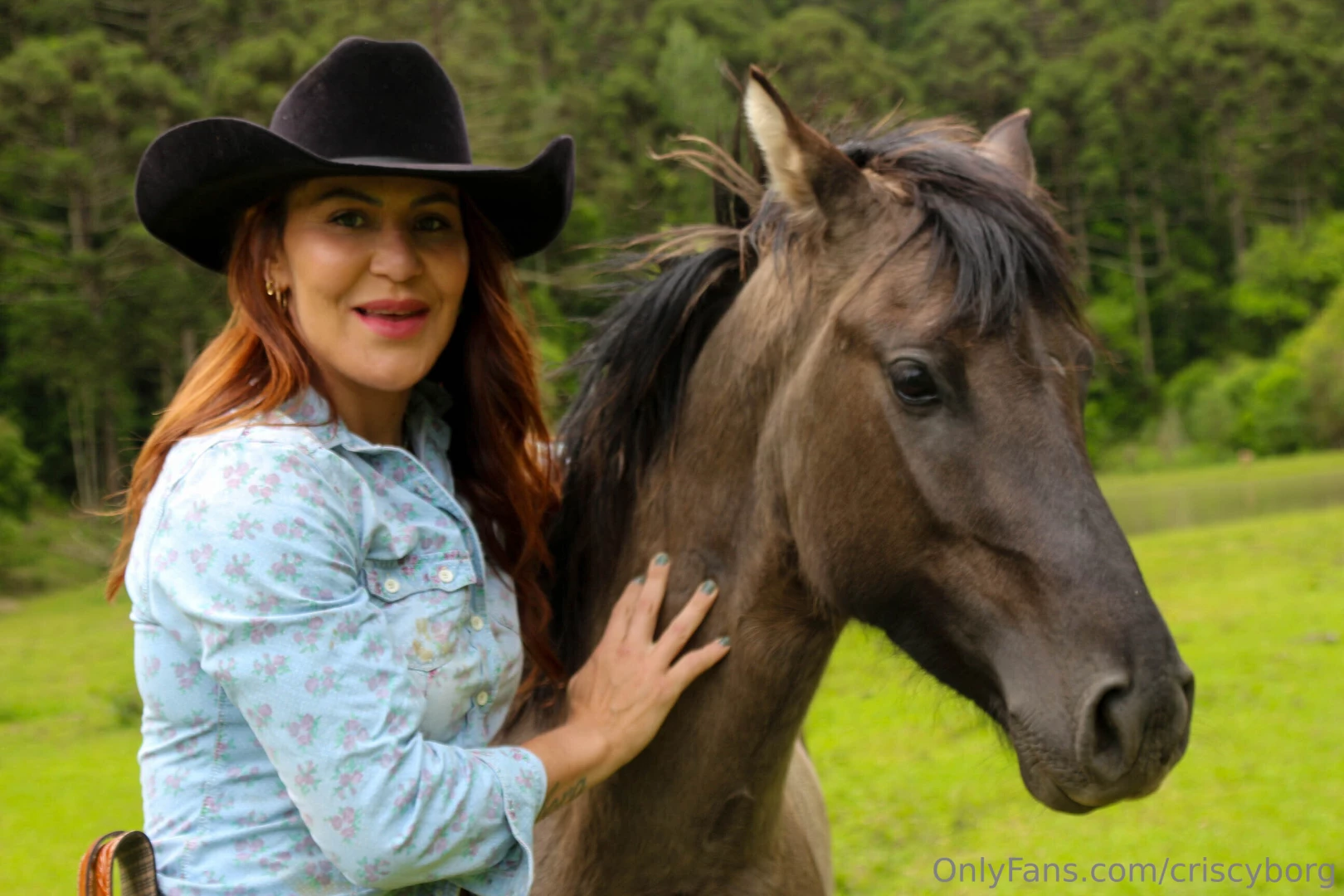 Would you ride a horse 