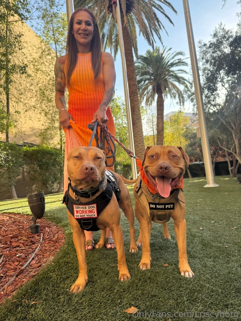 Do you travel with your pets 