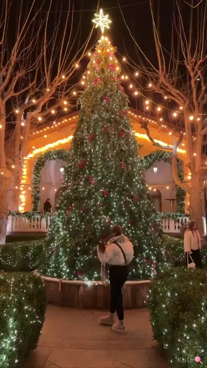 Christmas holidays are over and i didn t have time to show all the 