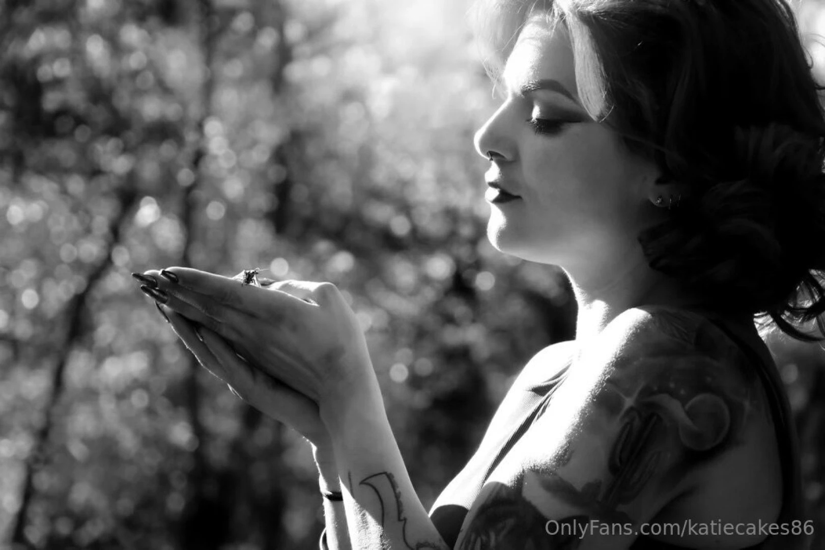 Wishing it was spring already always take time to tiptoe through the part 3 