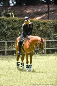 The photo s like a picture