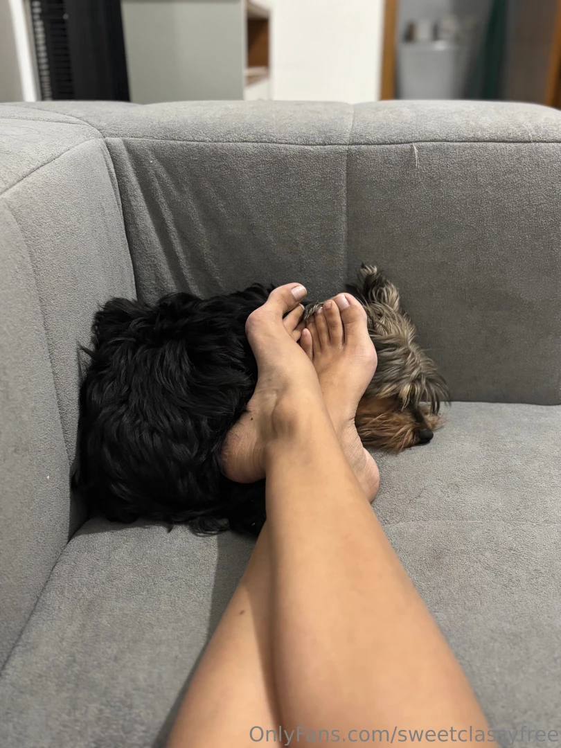 She loves to lay next to my feet 