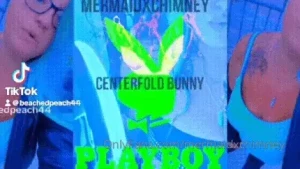 Playboy centerfold bunny