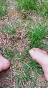 It s feet friday so let s add some new beautiful babies part 6