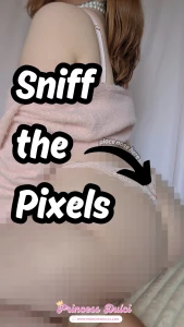 Happy humpday - time to sniff the pixels lt 3 remember this is what