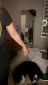 Stream started at 01 01 2025 03 47 am let the countdown begin