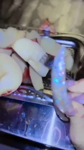 Everyday playing with the blo d vessels