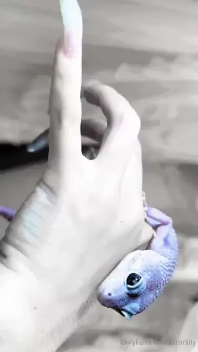 Gecko-chan has beautiful eyes marble eyes 