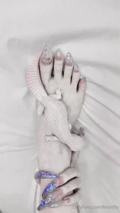 Hand and gecko diary pirque part 1