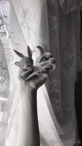 I got nanachi