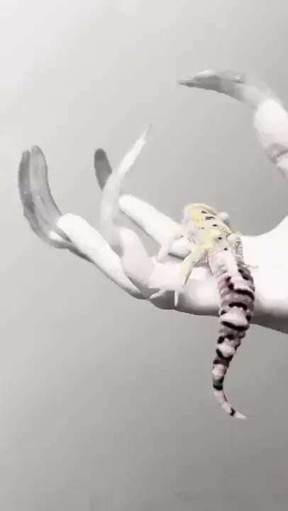 Too small and cute 