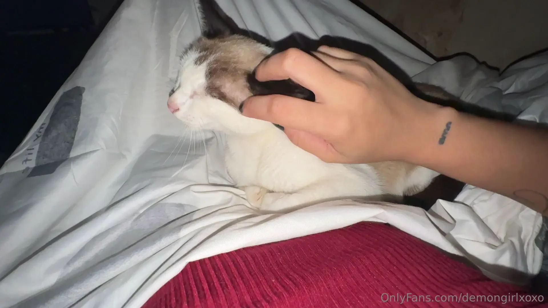 Want to see how i caress my kitty 