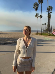 The birds here don t fly south for the winter