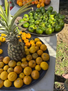Hawaiian groceries part 1