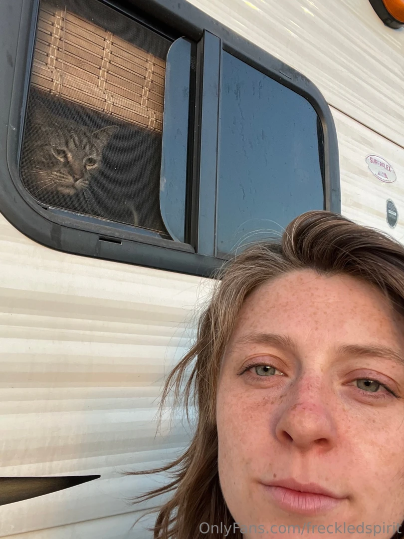 Freckles and cats part 2 