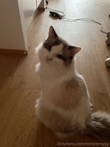 Seasonal depression is definitely a real thing huh will get to