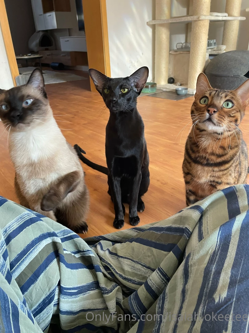 I m pretty busy these days and beside a lot of work from moving i m part 1 