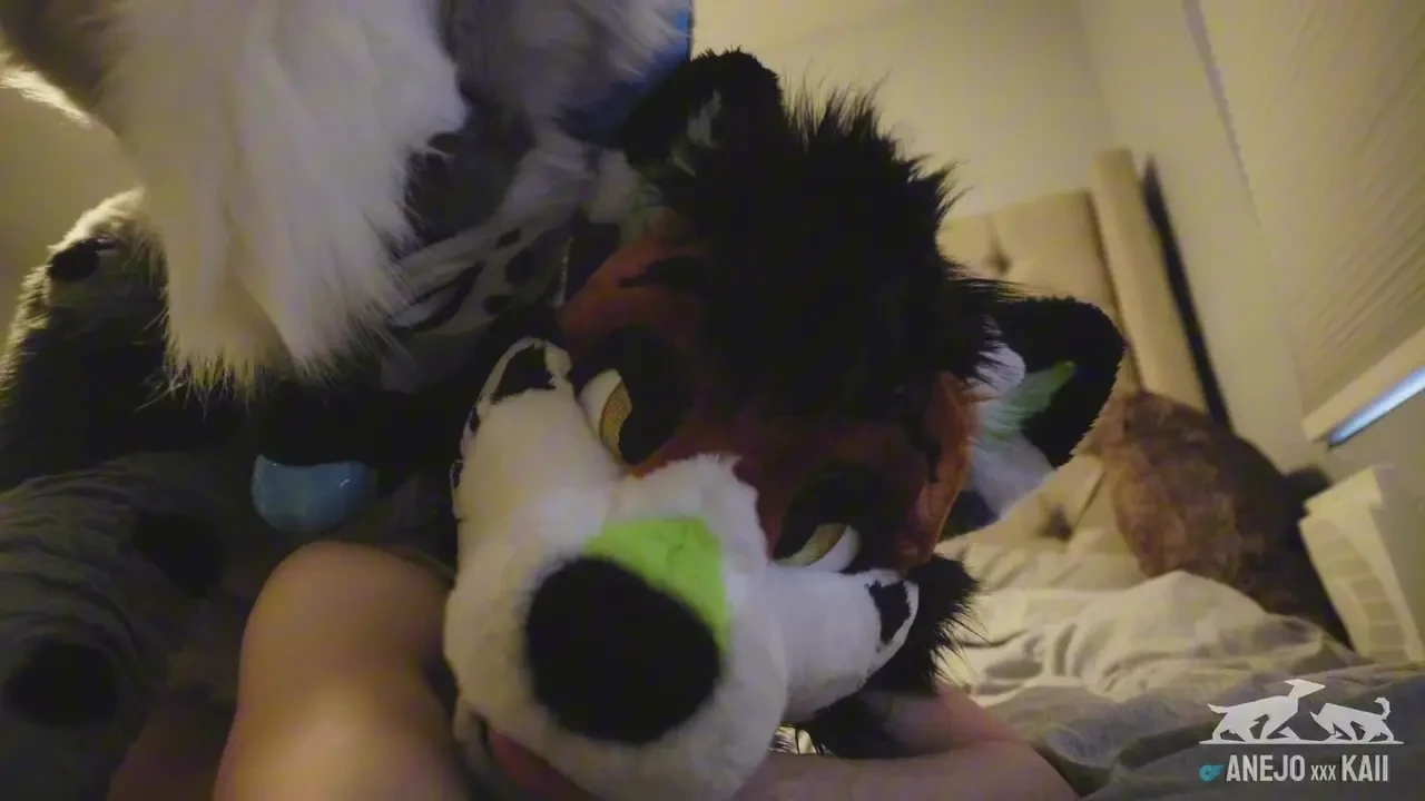 Spent a weekend in san diego visiting this yeen he told me he wanted 