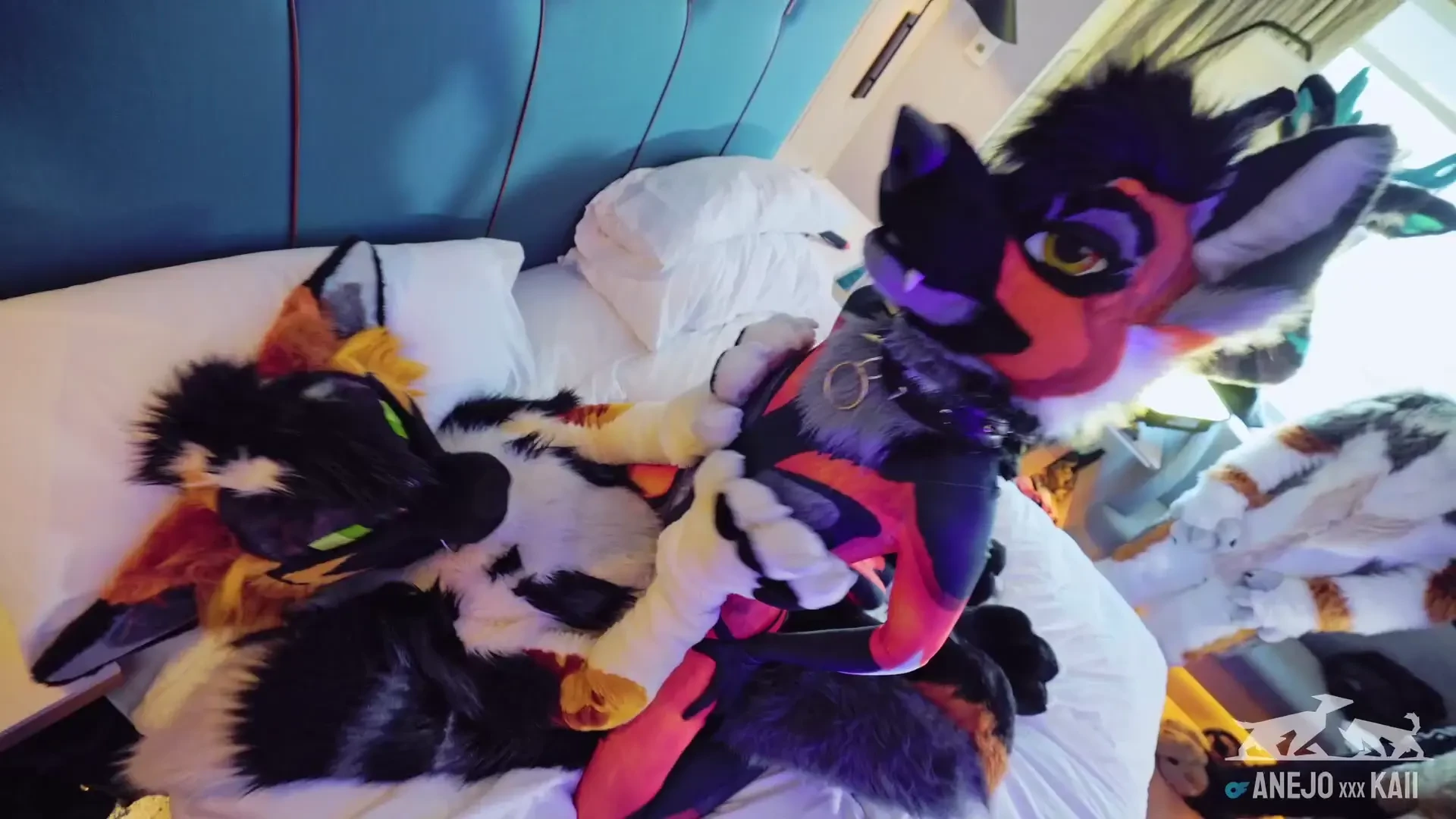 So we ran the biggest fursuit train ever 10 fursuiters vs 1 maned fox 