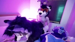 Teaser kaii x maphia - part iii video out tomorrow