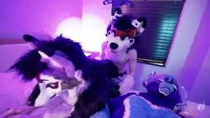 Kaii x maphia - part iii breeding maphia again this video ended up