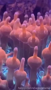 False alert fyp redhead ginger tiktok funny inkedgirl altgirl foxgirl