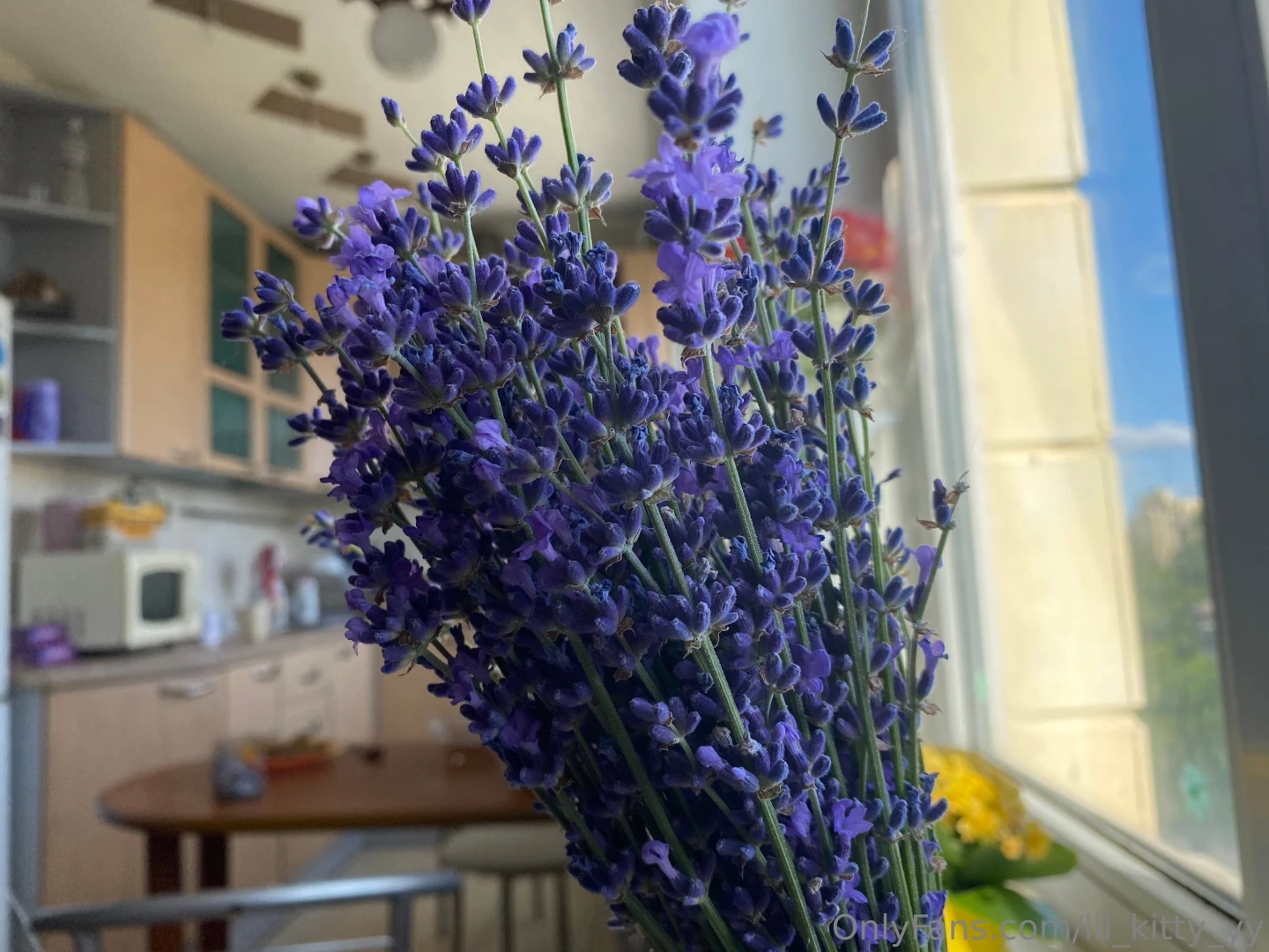 I love summer for its gifts everything blooms smells wonderful and is 