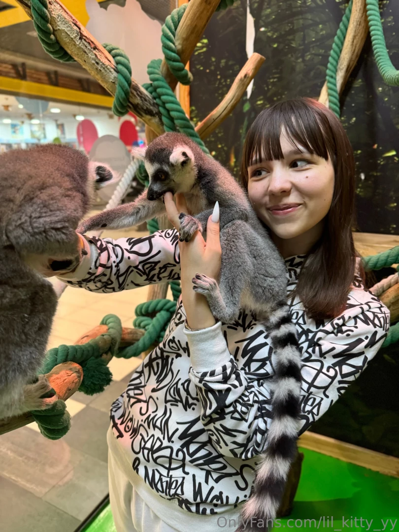 These lemurs are so cool 
