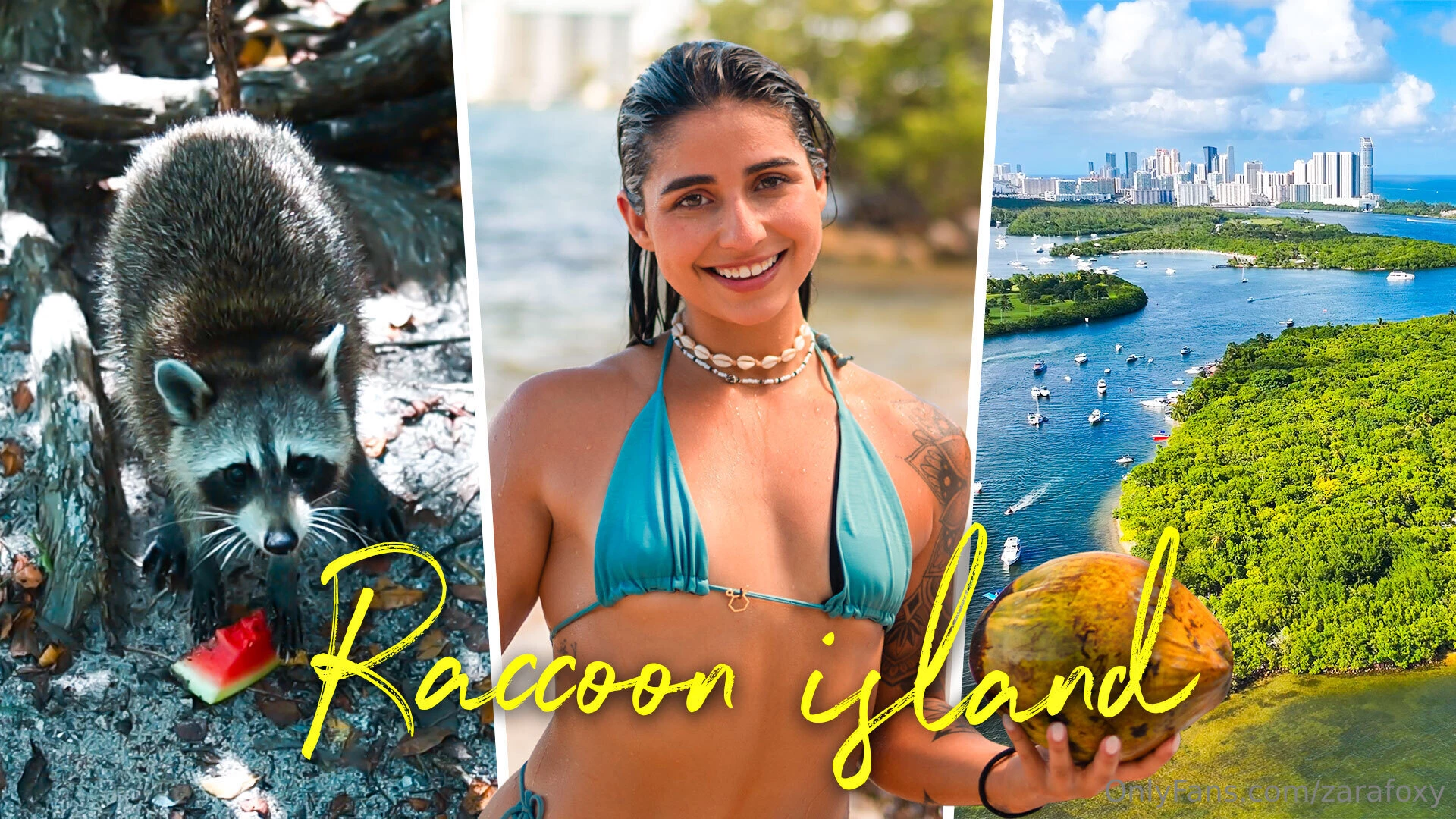 Zara explores raccoon island exploring the adorable raccoon island 