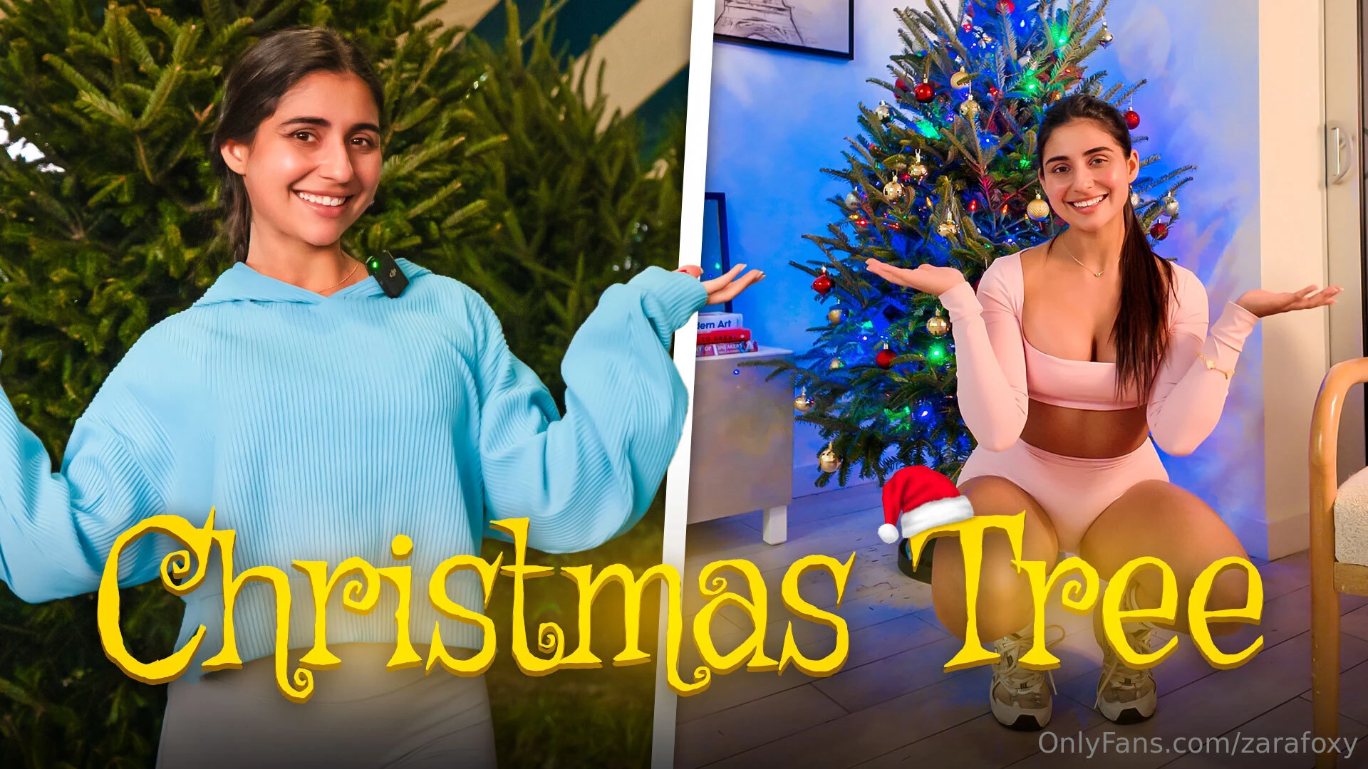 Finding the perfect christmas tree it s christmas season searching for 