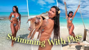 Swimming with pigs today can t wait to show you this crazy cute moment