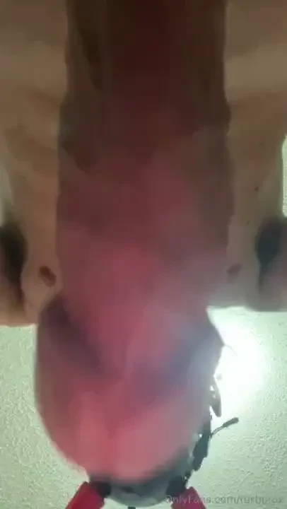 Turbotaz part 1264531 