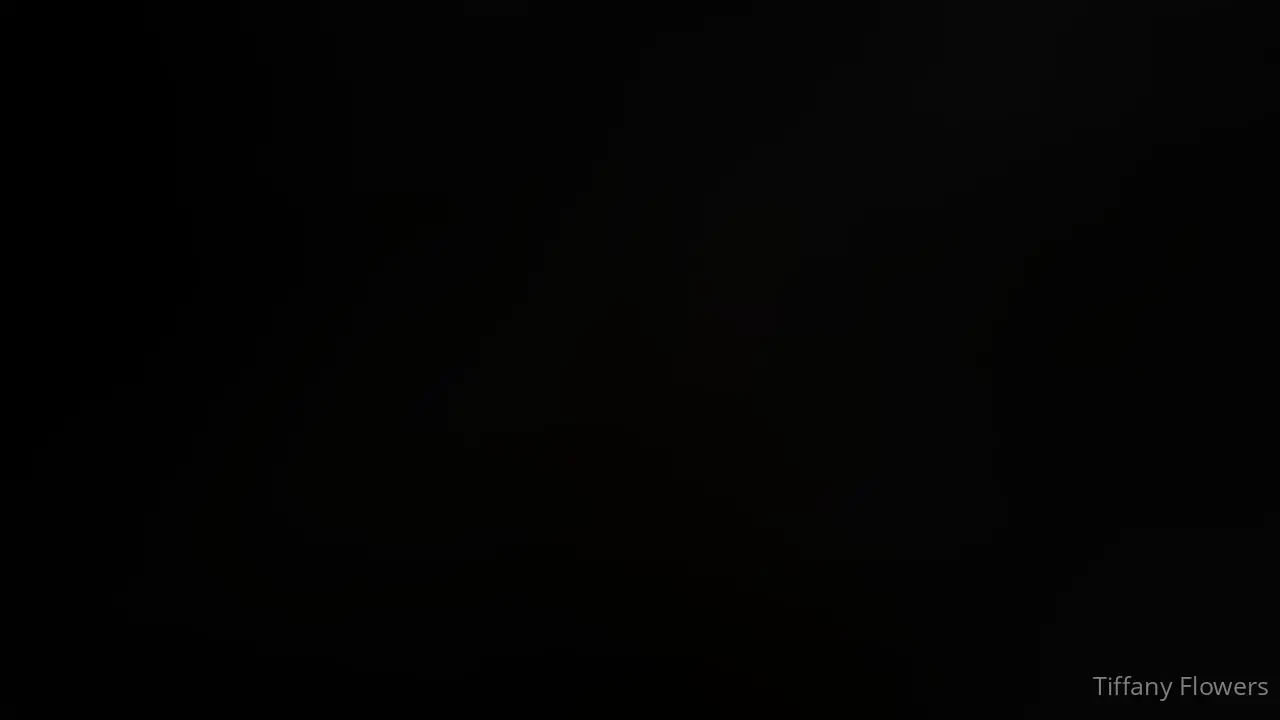 Here s the preview for the next release i had some fun in the sun with 