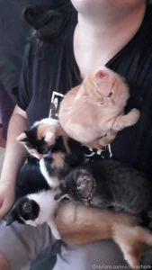 The kittens have started getting adopted maybe soon i won t be part 1