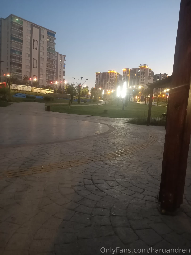 Another sunset 