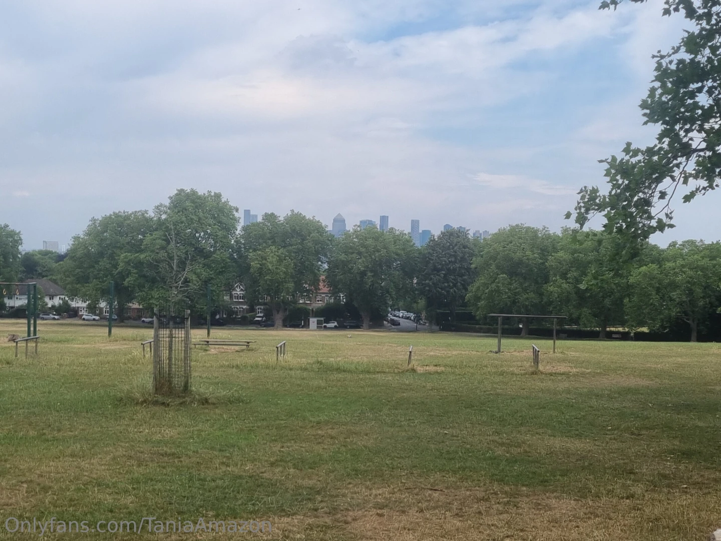 City views from my stroll in the park today 