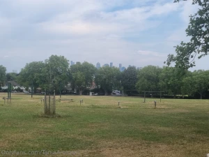 City views from my stroll in the park today