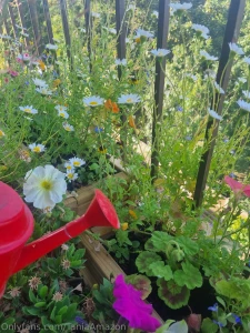 Keeping my friend s plants watered in this hot weather whilst she s