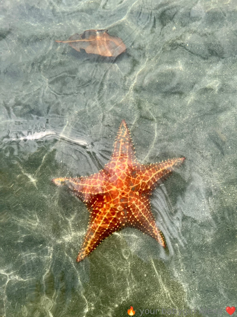 Playa estrella bocas del toro pa third stop of the trip i was amazed part 5 