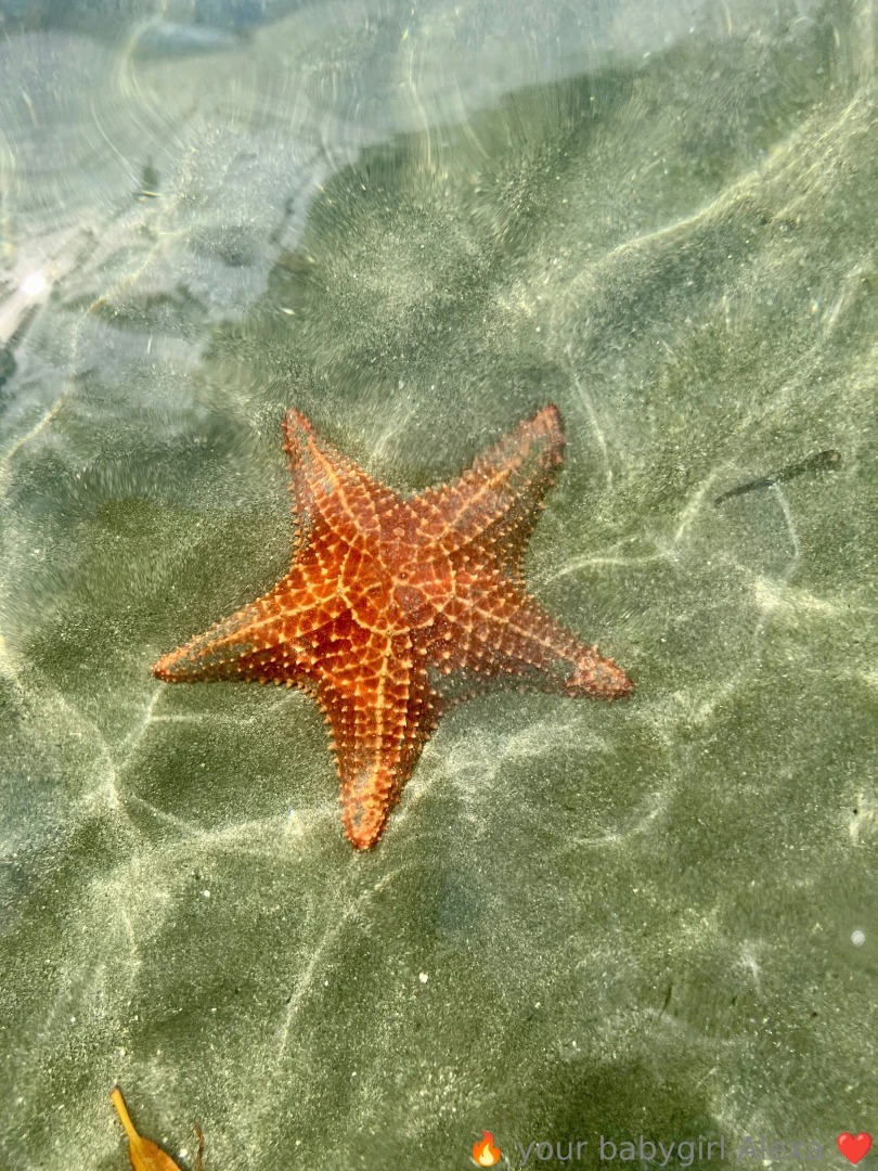 Deliriousbaby part 1 