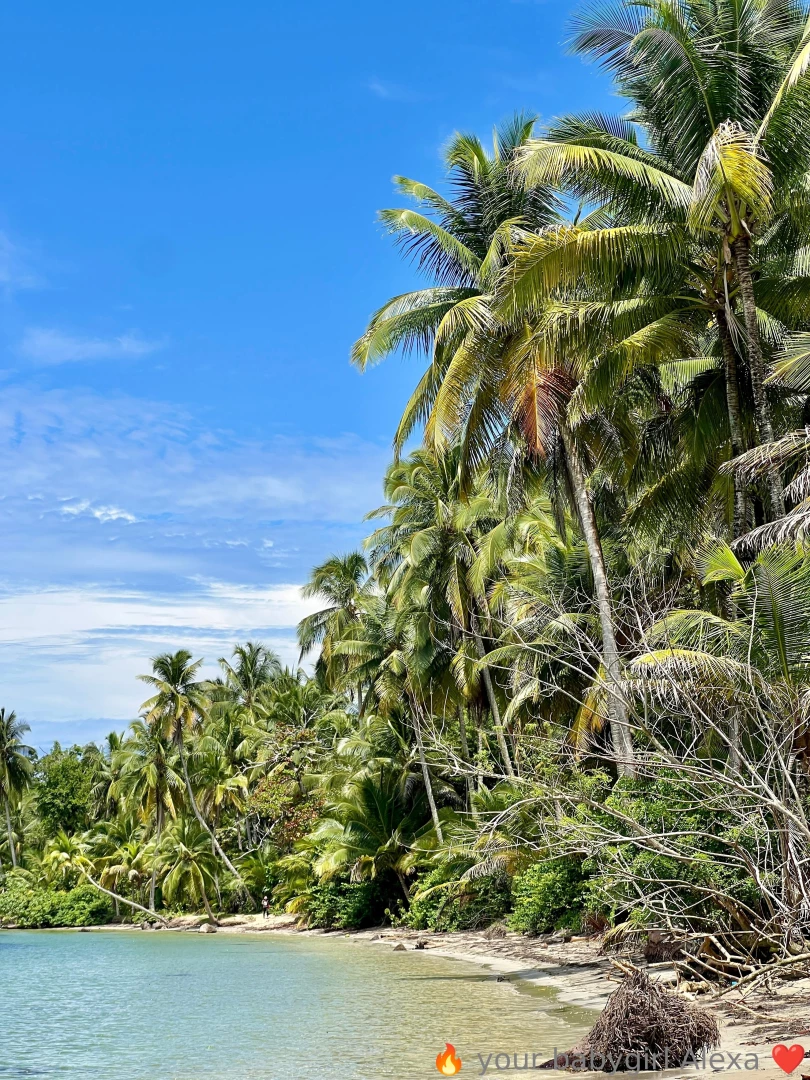 Playa estrella bocas del toro pa third stop of the trip i was amazed part 1 