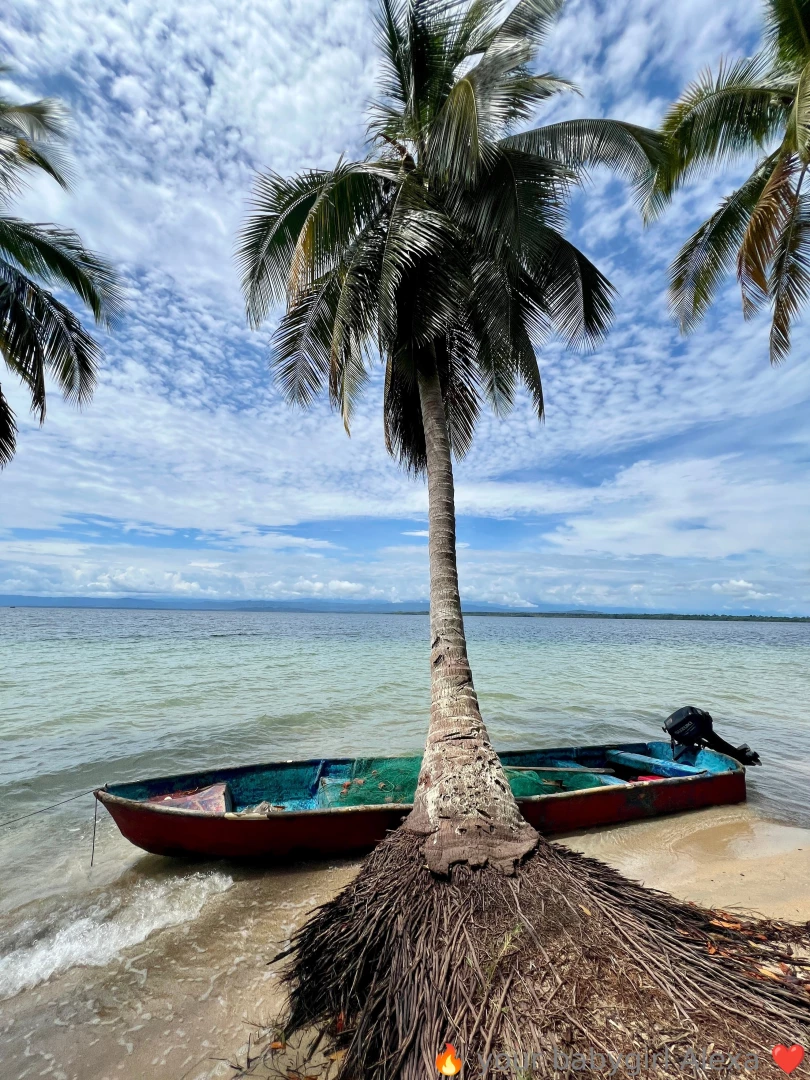 Playa estrella bocas del toro pa third stop of the trip i was amazed part 3 