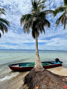 Playa estrella bocas del toro pa third stop of the trip i was amazed part 3
