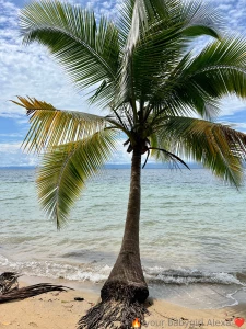 Playa estrella bocas del toro pa third stop of the trip i was amazed part 2