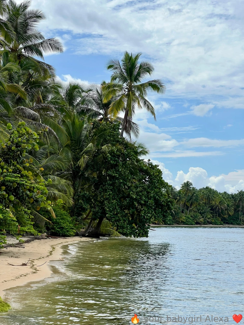More of bocas del toro i think this was my favorite place so much to part 11 